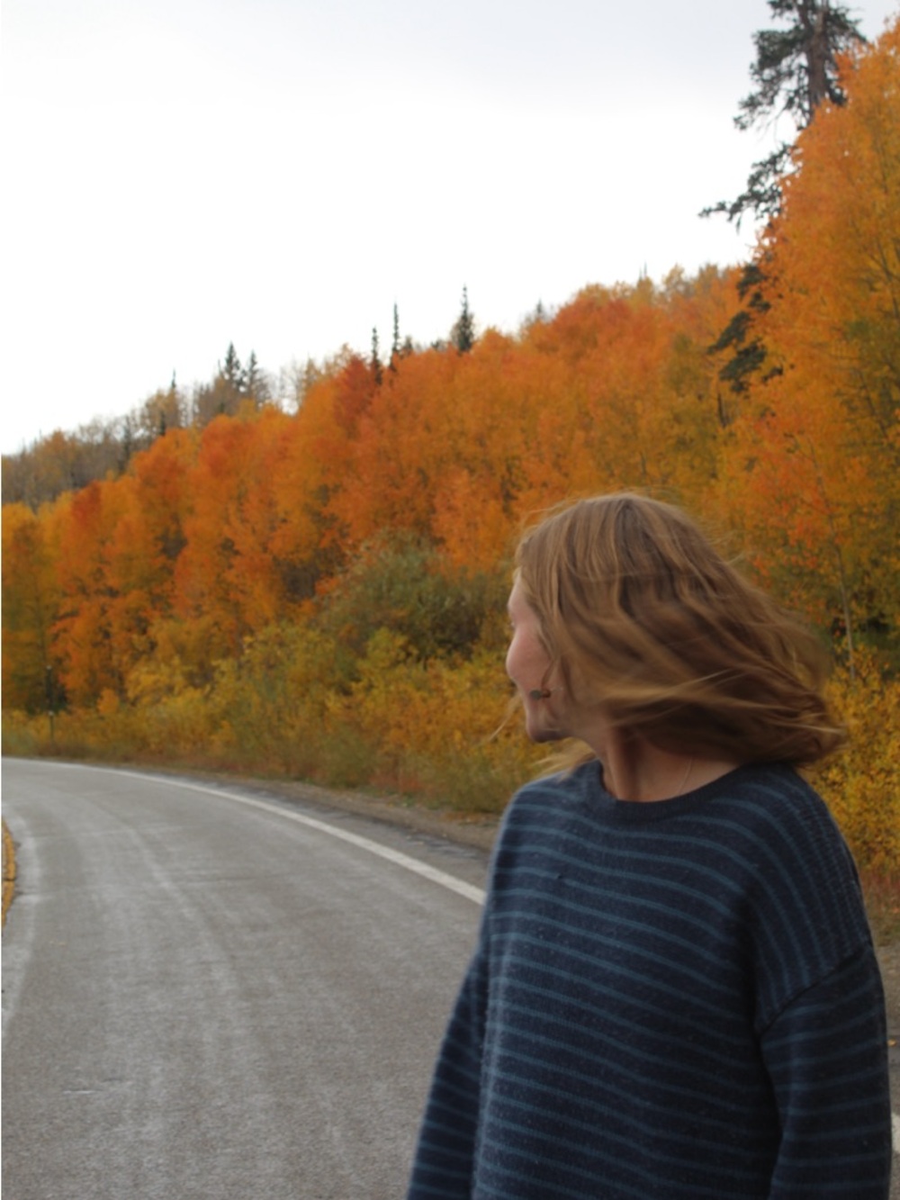 Meet your Posher, Nat